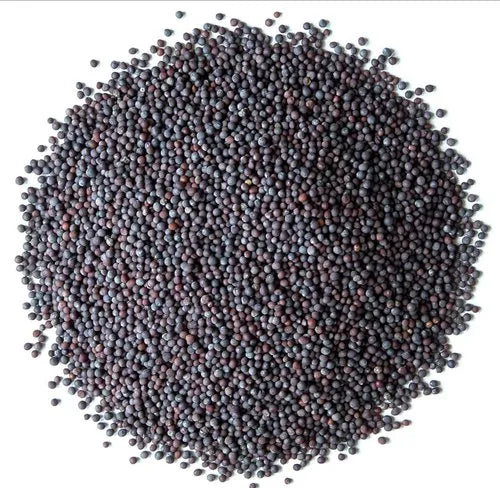 Selco Mustard Brown 200g