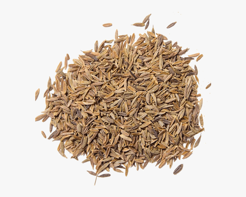 Cumin Seeds