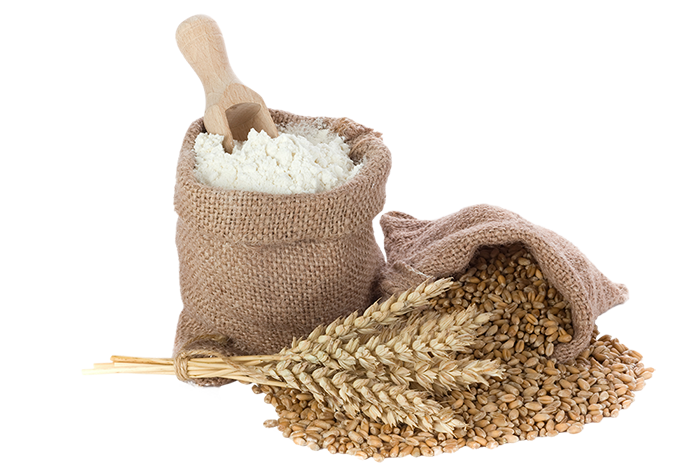 Wheat Flour