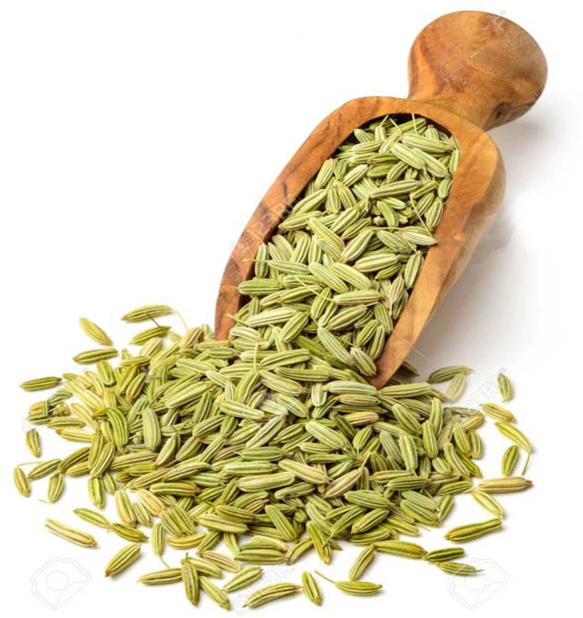 GP Fennel Seeds 500g