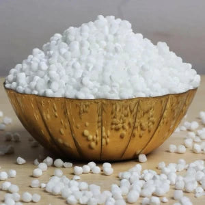 Savan Sago seeds 500g