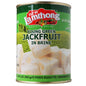 Young Green Jackfruit 565g