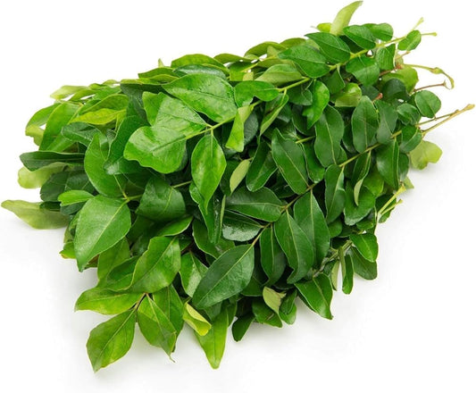 Curry Leaves Bunch