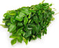 Curry Leaves Bunch